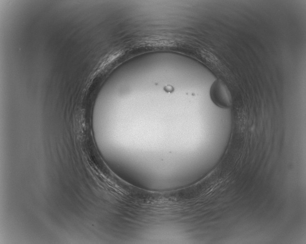 X0000054360731200508191819