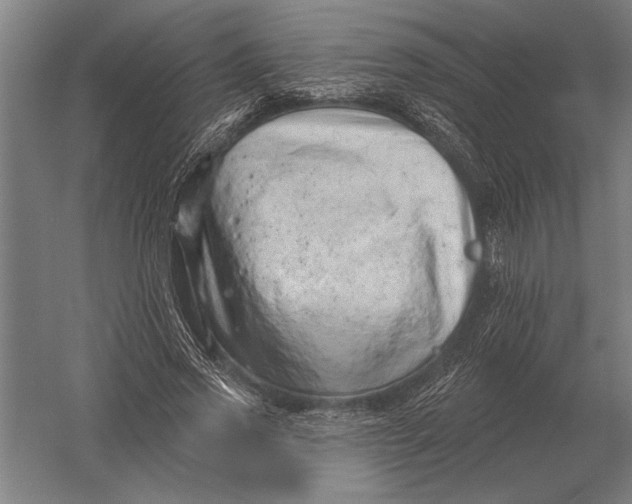 X0000054360733200508191819