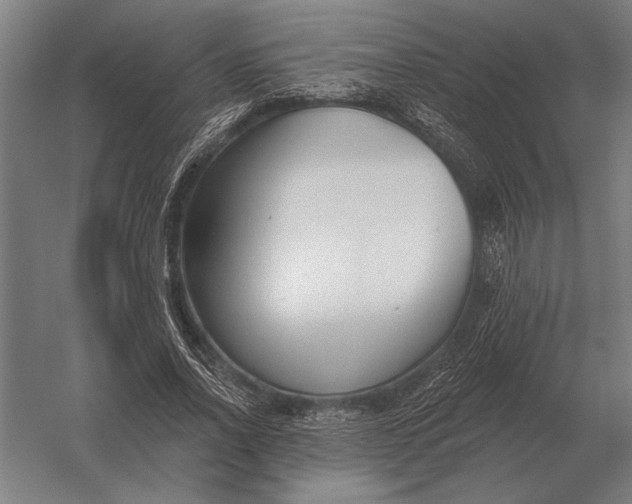 X0000054360734200508191819