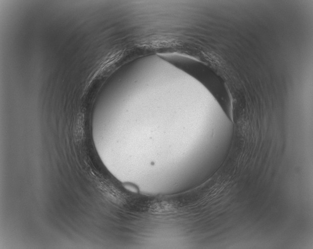 X0000054360735200508191819