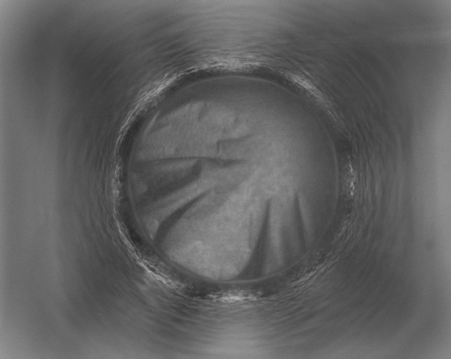 X0000054360736200508191819