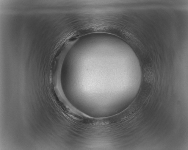 X0000054360740200508191819