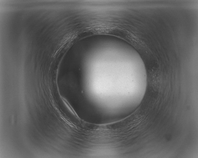 X0000054360742200508191819