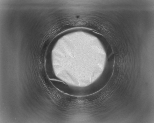 X0000054360743200508191819