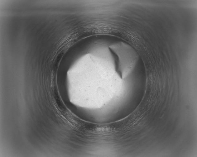 X0000054360744200508191819