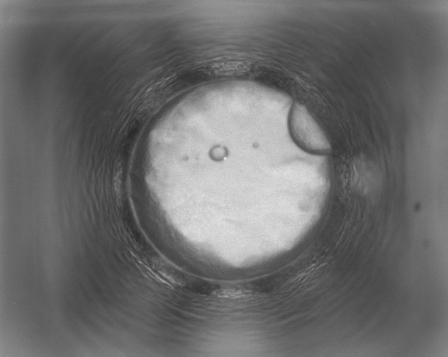 X0000054360745200508191819