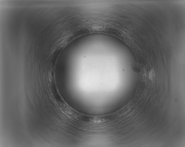 X0000054360746200508191819