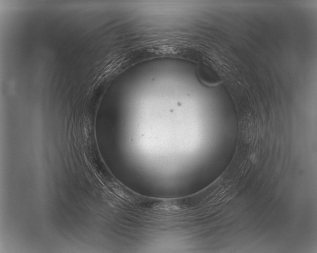 X0000054360747200508191819