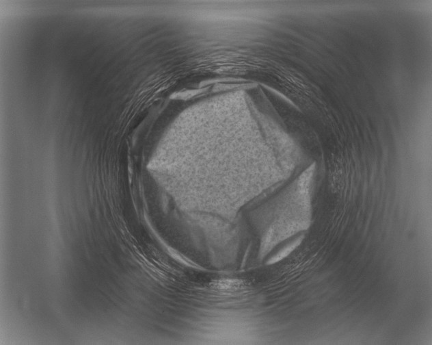 X0000054360748200508191819