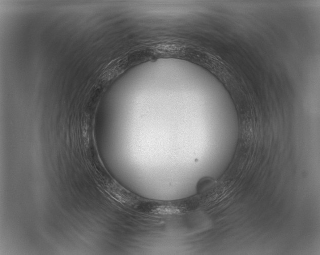 X0000054360749200508191819