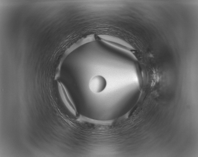 X0000054360750200508191819