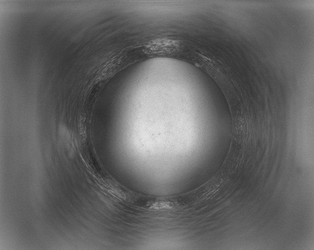 X0000054360751200508191819