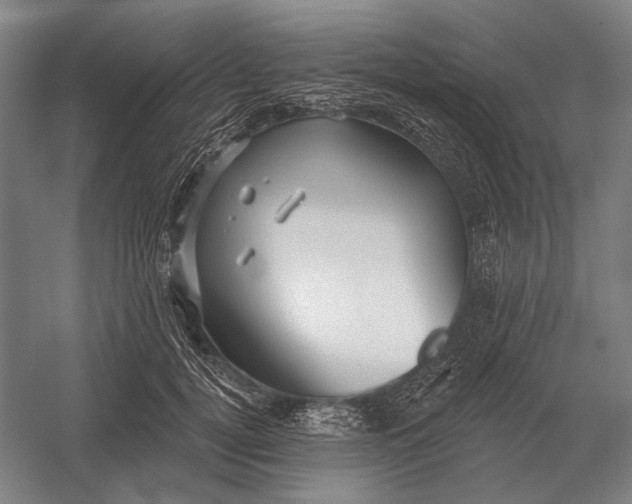 X0000054360752200508191819