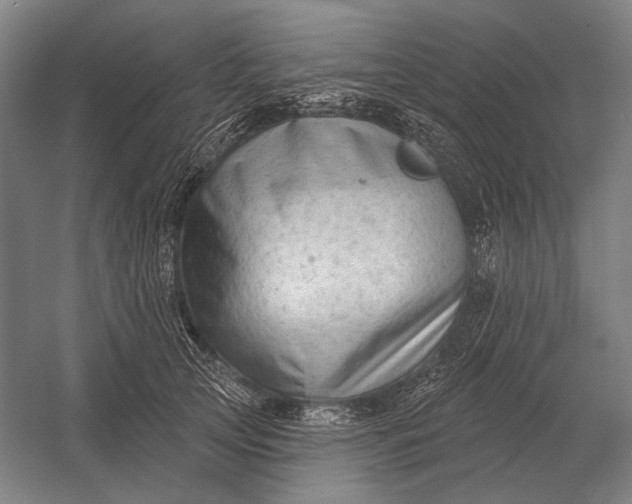 X0000054360753200508191819