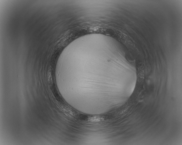 X0000054360754200508191819