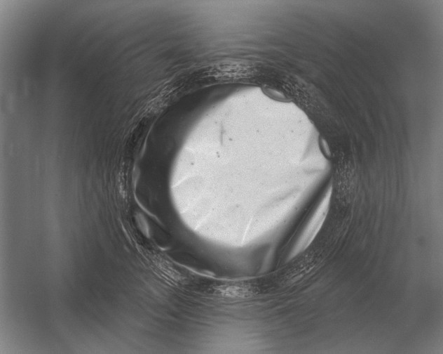 X0000054360755200508191819