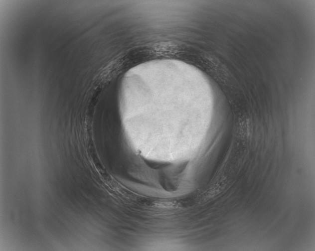 X0000054360757200508191819