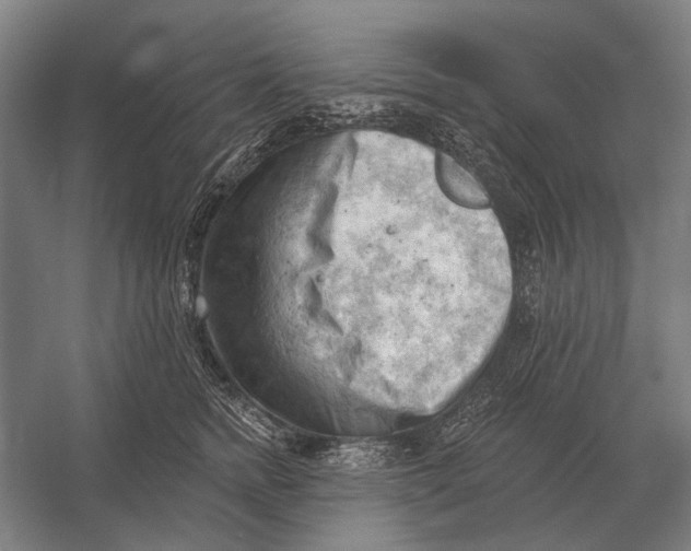 X0000054360758200508191819