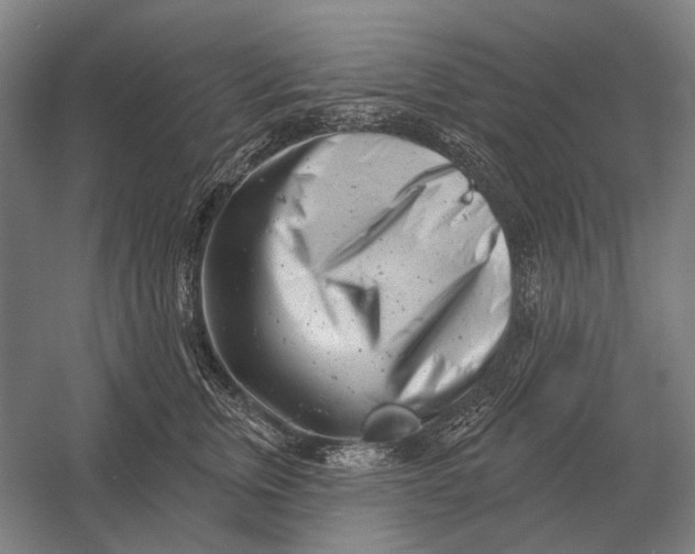 X0000054360759200508191819