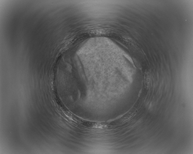 X0000054360760200508191819