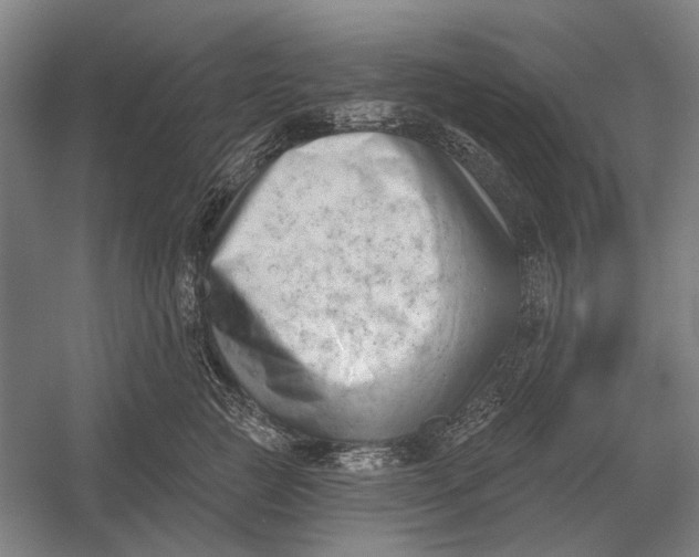 X0000054360761200508191819