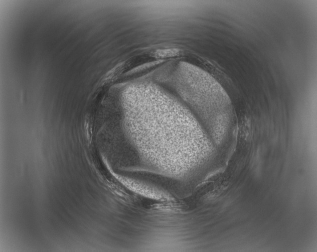 X0000054360763200508191819