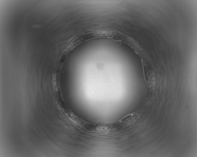 X0000054360764200508191819