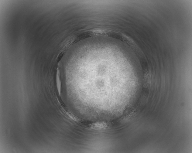 X0000054360765200508191819