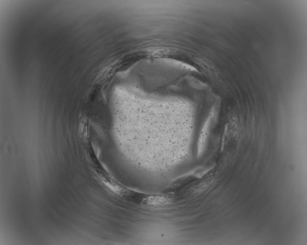 X0000054360766200508191819