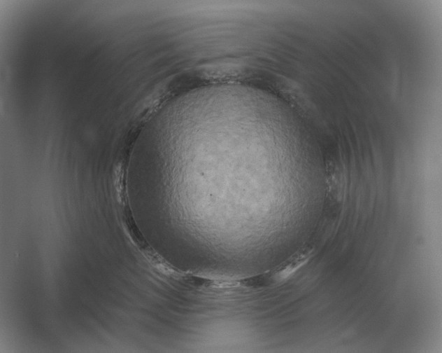 X0000054360767200508191819