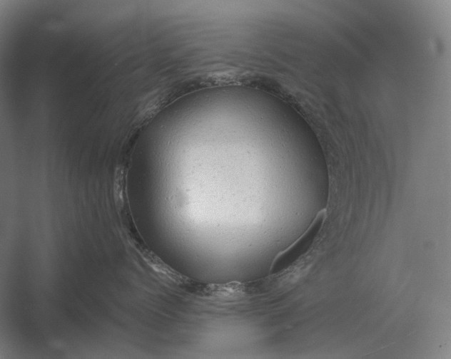 X0000054360768200508191819