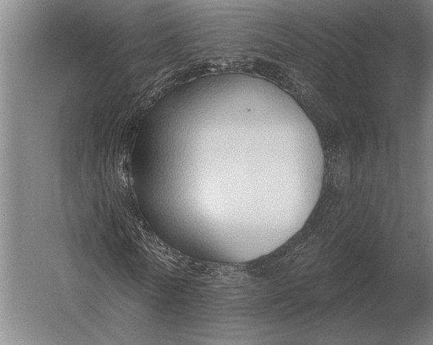 X0000054360770200508191818