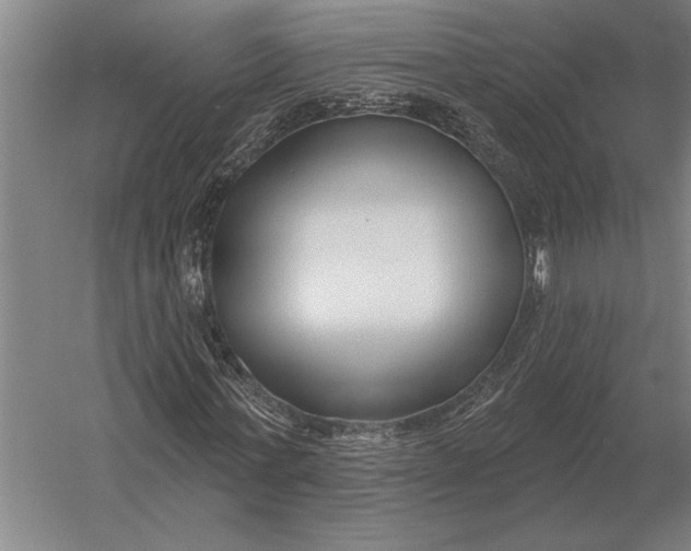 X0000054360771200508191818