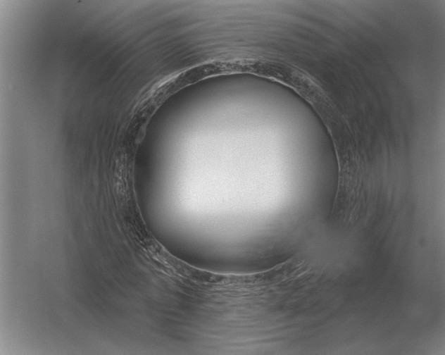X0000054360773200508191818