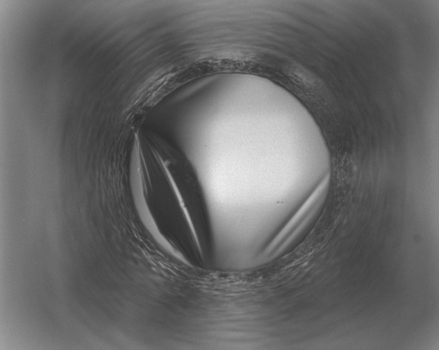 X0000054360774200508191818