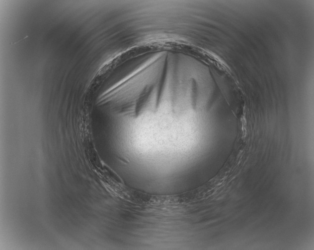 X0000054360775200508191818