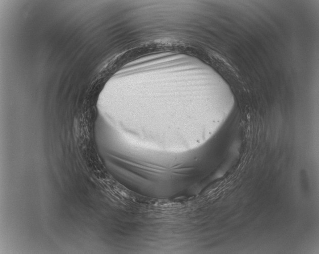 X0000054360776200508191818