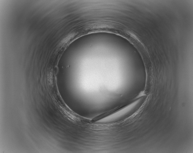 X0000054360777200508191818