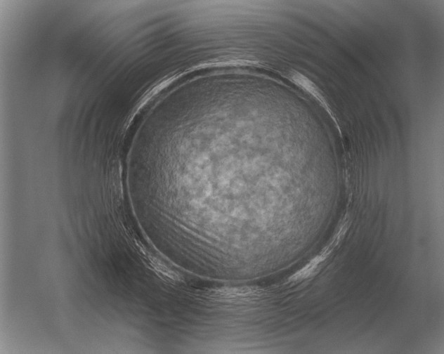 X0000054360781200508191818