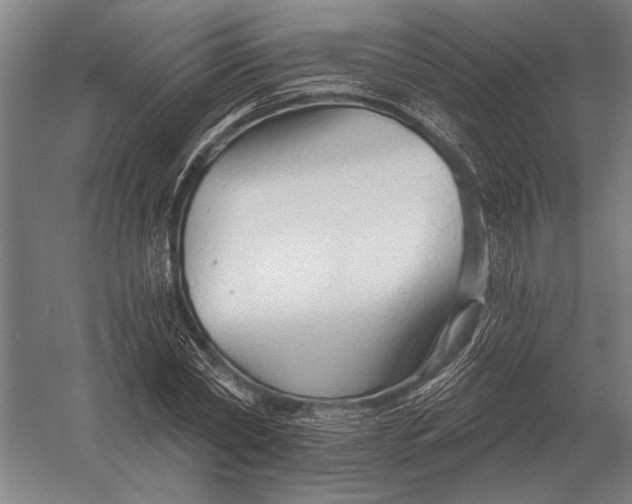 X0000054360782200508191818