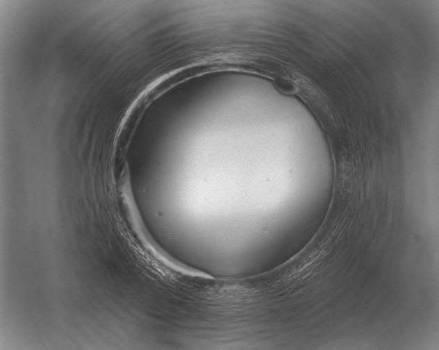 X0000054360784200508191818