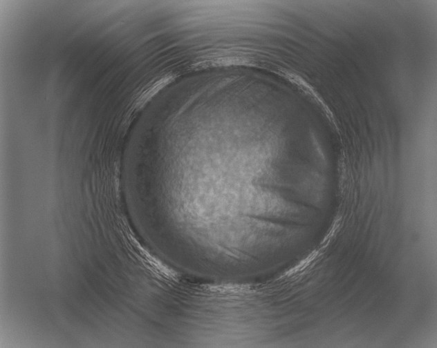 X0000054360785200508191818