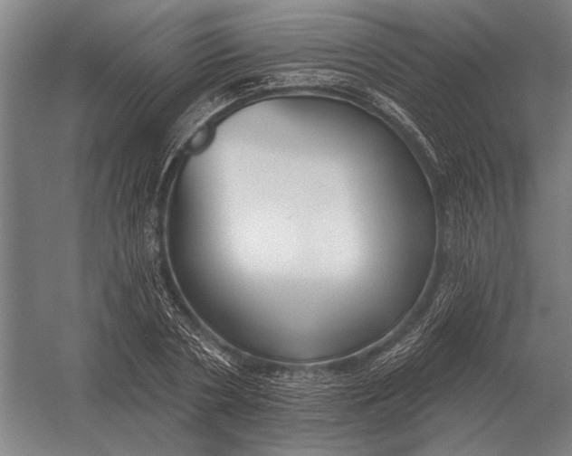 X0000054360786200508191818