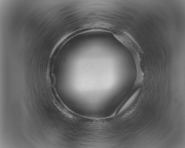 X0000054360788200508191818
