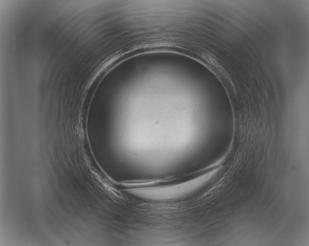 X0000054360789200508191818