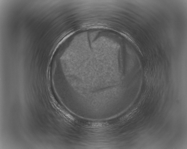 X0000054360790200508191818