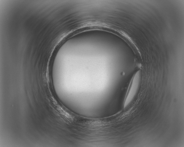 X0000054360791200508191818
