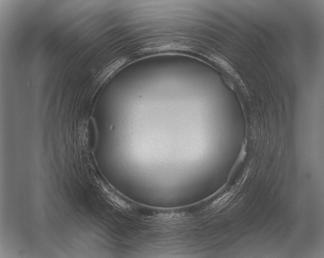 X0000054360793200508191818