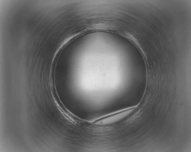 X0000054360795200508191818