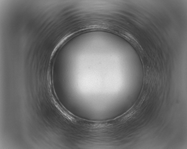X0000054360796200508191818